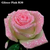 R GR GLITTER PINK  R30 x20