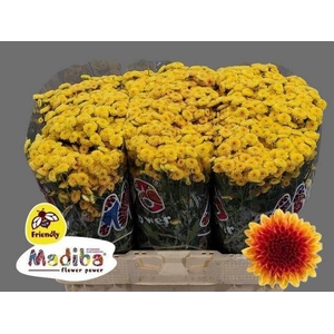 CHR S MA TY  SUNRISE