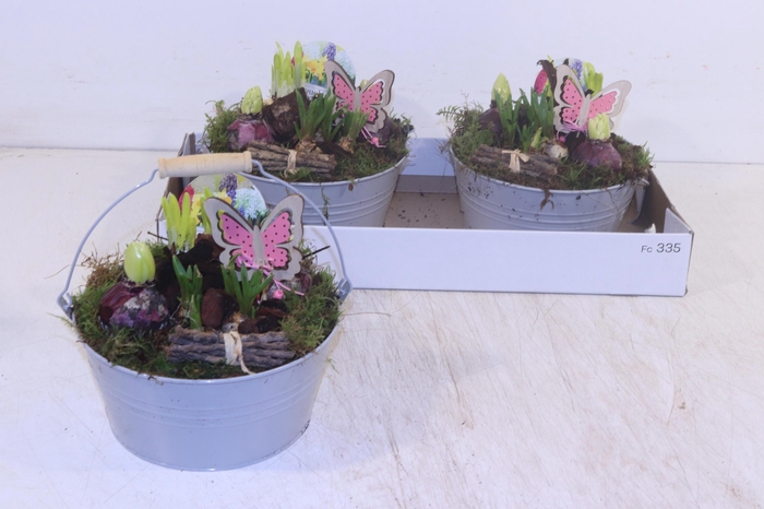 <h4>ARR BOL KNOLGEWAS</h4>