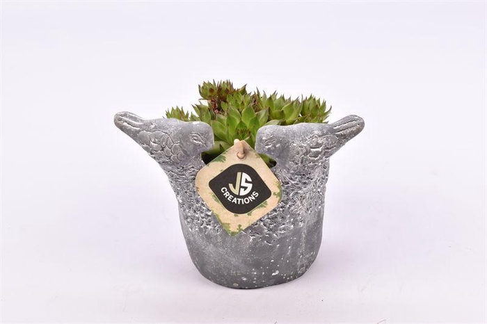 <h4>Cement vogelpotje grijs 12cm</h4>