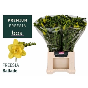 FR DU BALLADE