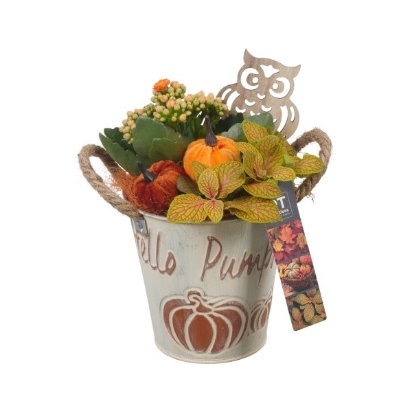 <h4>PTHI5339 Arrangement Herfst Indoor in metalen bak</h4>