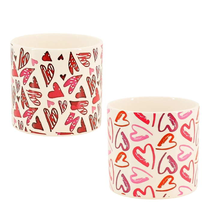 <h4>BLOEMPOT H%</h4>