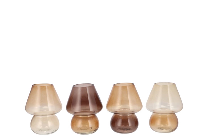 Bicolore Natural Brown Mix Mushroom Ass 12x15cm