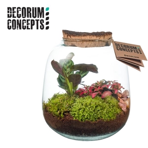 Terrarium Hyperion (Decorum concepts)