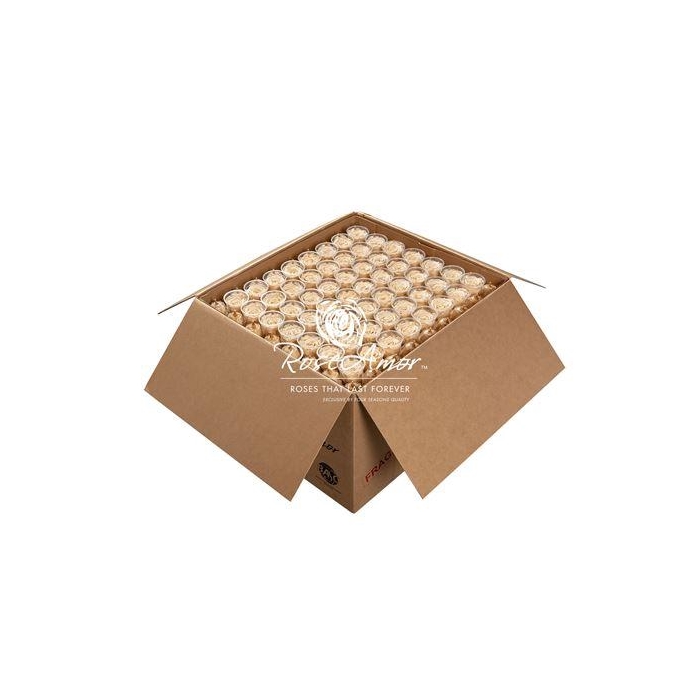 <h4>Xl Bulk Cha01</h4>