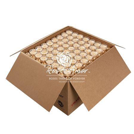 Xl Bulk Cha01