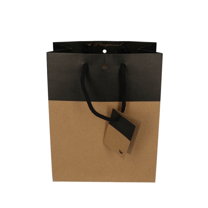 <h4>Tassen Gift bag duo 10*18*22cm</h4>