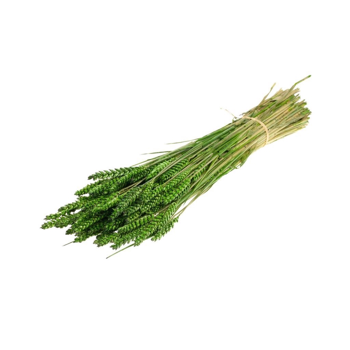 Tarwe moss green