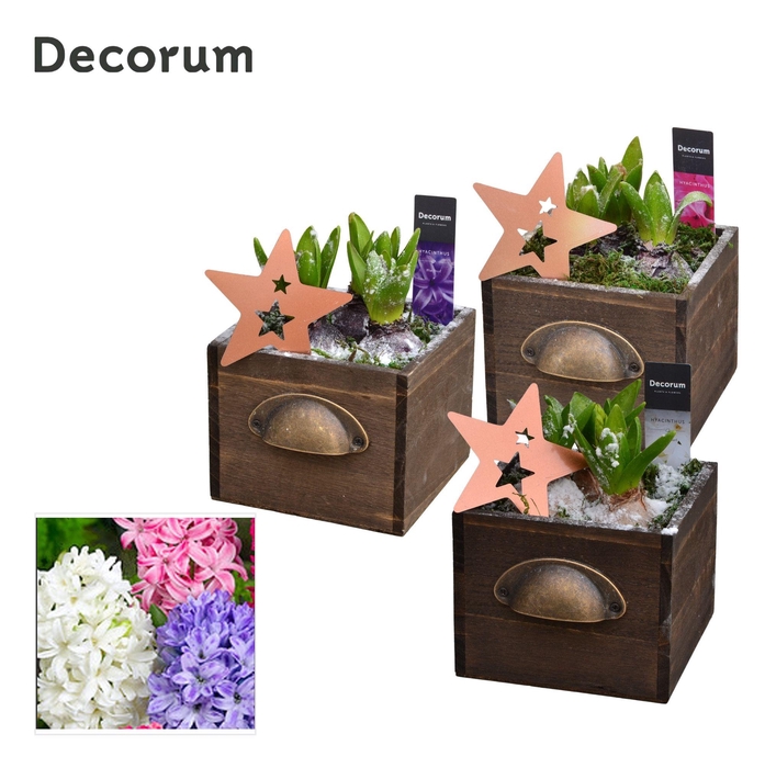 <h4>Hyacint Wooden Drawer HL10752 [PURE]</h4>