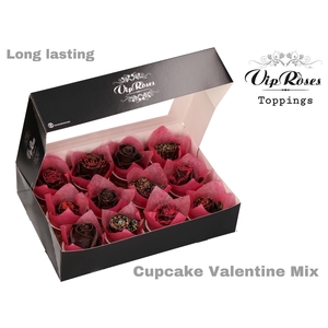 R GR CUPCAKE VALENTINE MIX
