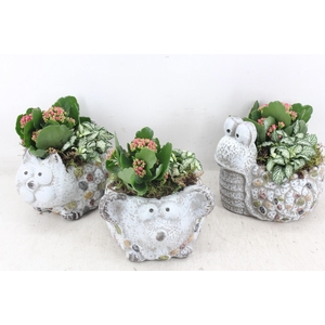 arr2 TD - Dierenmix - roze