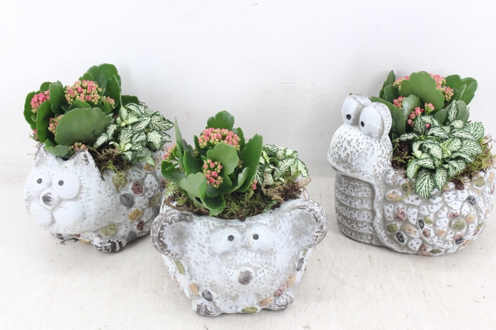 <h4>arr2 TD - Dierenmix - roze</h4>