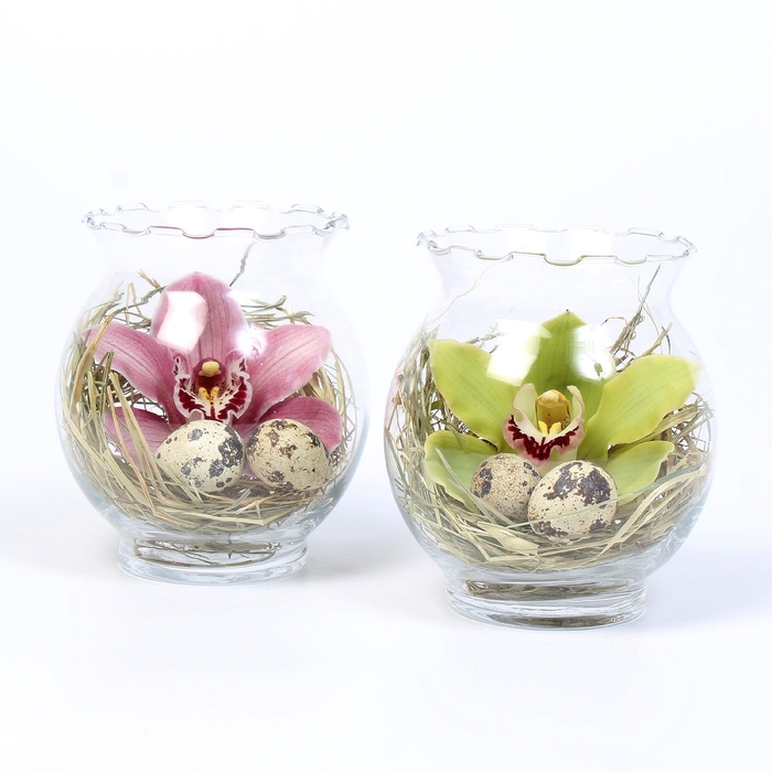 <h4>CYMB VERPAKT P BLOEM 6260</h4>