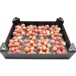 WAX APPEL H%