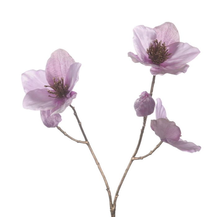 <h4>Af Helleborus X3 L51cm Lilac</h4>