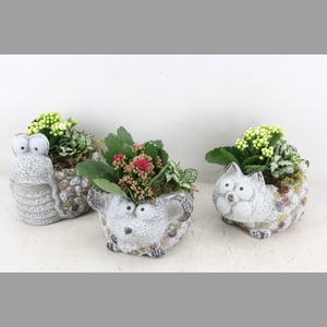 arr2 TD - Dierenmix  roze/wit