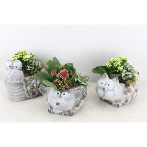 Arr2 Td - Dierenmix Roze/wit