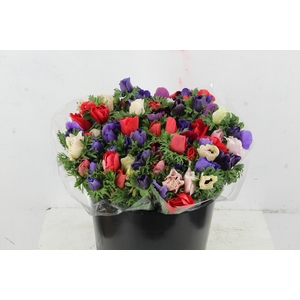 ANEMONE MISTRAL MIX PRIMA