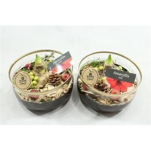 6159 AMAR ZWART/GOUD LAAG