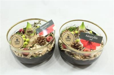 <h4>5099 ZWART/GOUD CILINDER AMAR</h4>