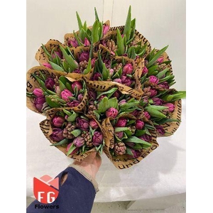 TU DUB GEMENGD IN BOS HYAC LILA-PIN