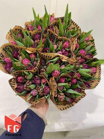 <h4>TU DUB GEMENGD IN BOS HYAC LILA-PIN</h4>