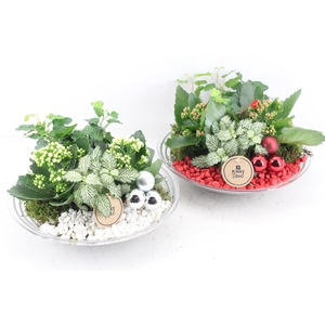 arr2 PL - Glas schaal 27cm - rood/wit