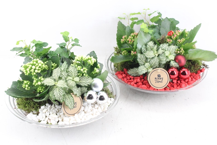 <h4>arr2 PL - Glas schaal 27cm - rood/wit</h4>