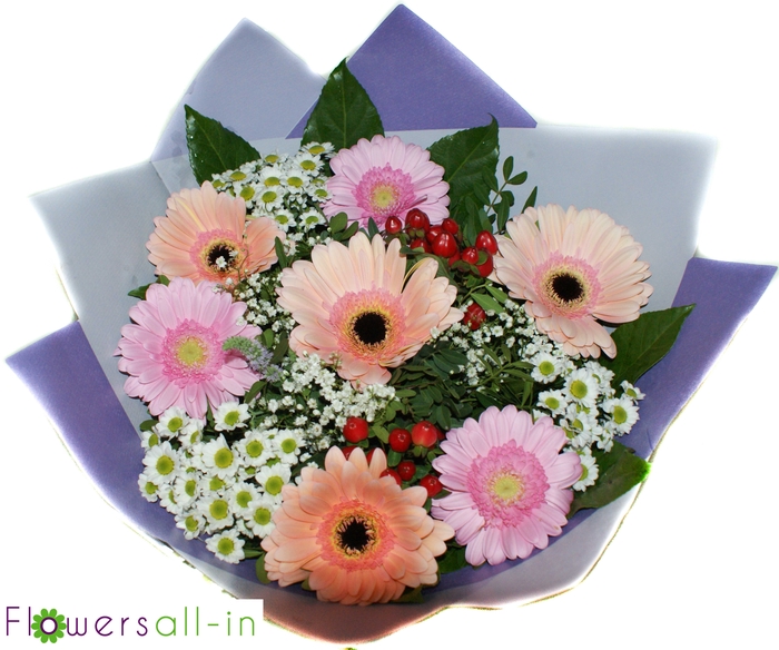 <h4>202274 roze</h4>