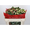 Hypericum Rainbow Romance Spray