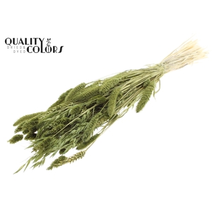 Dried Flower Mix bunch Bleached Olive