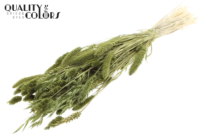 <h4>Dried Flower Mix bunch Bleached Olive</h4>