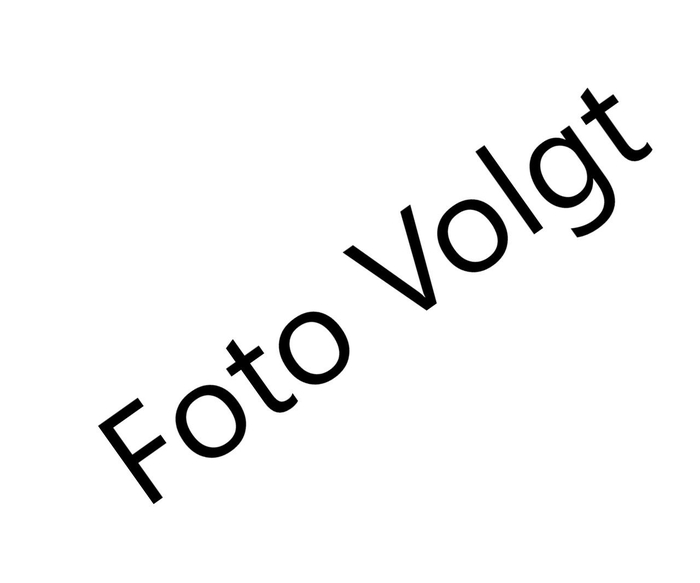 <h4>ARR TUINPLANTEN</h4>