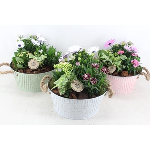 arr4 Outdoor PL - Zink rond jardin mix