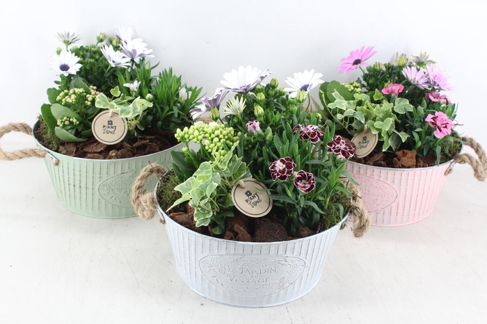 <h4>arr4 Outdoor PL - Zink rond jardin mix</h4>