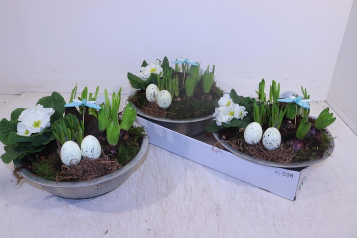 <h4>ARR TUINPLANTEN</h4>