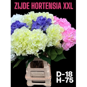 HUIS EN TUINDECO H%