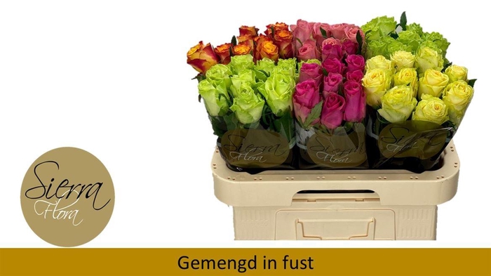 <h4>R Gr Gemengd In Fust</h4>