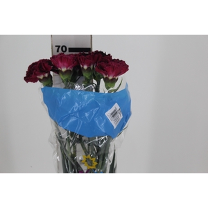 CRAVO BLACK HEART 070 CM