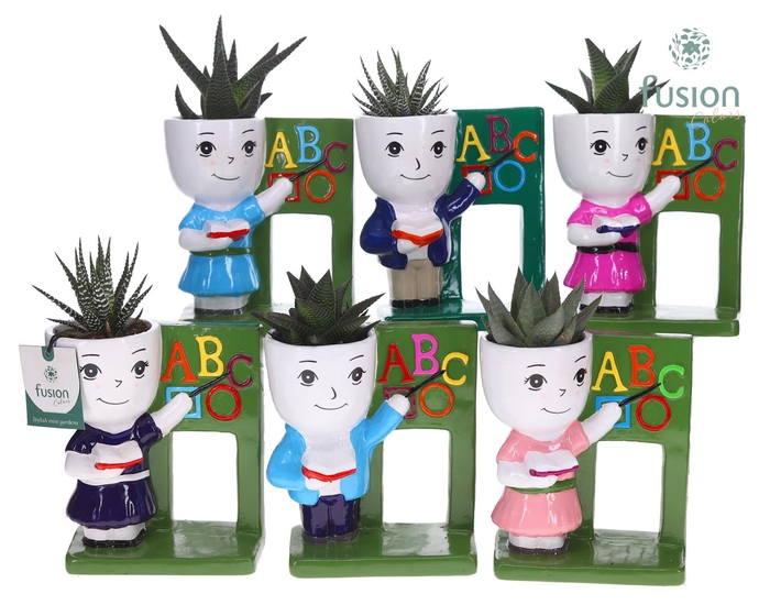 <h4>Keramiek back to school met Haworthia</h4>