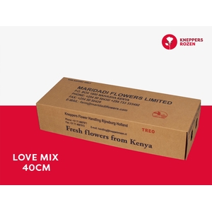 R GR LOVE MIX 40