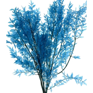 Pres Ruscus Soft Bleached Aquamarine Per Stem
