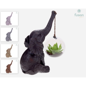 Keramiek olifant met Succulent in glas