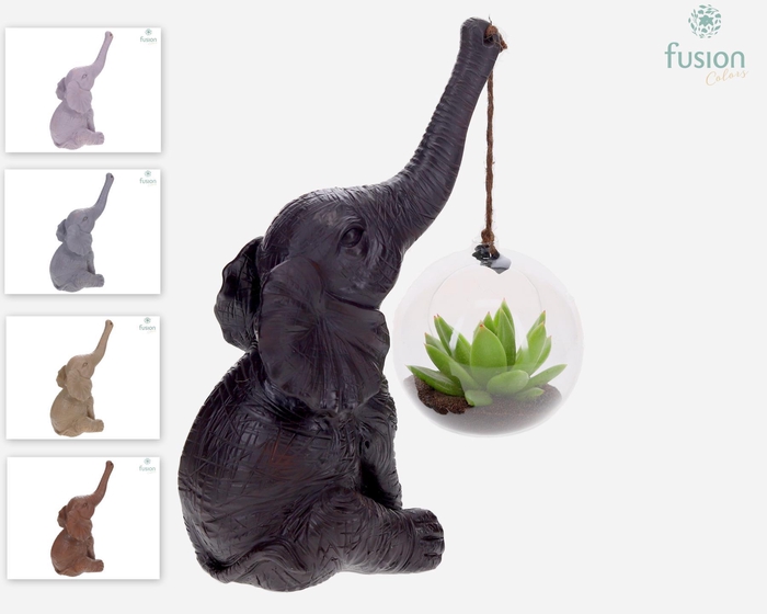 <h4>Keramiek olifant met Succulent in glas</h4>