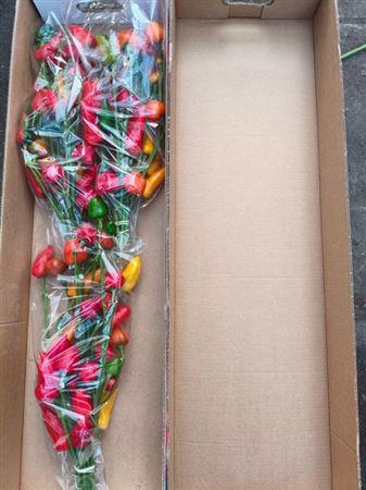 <h4>Sierpepers Tak</h4>