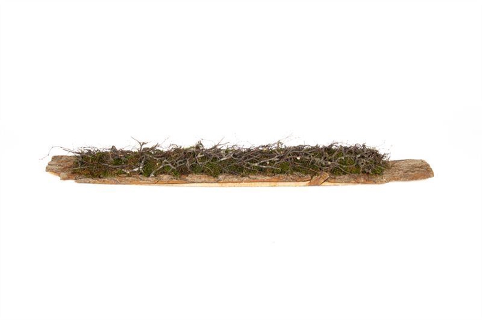 <h4>Tafelloper mos/bonsaihout 1,1 mtr.</h4>