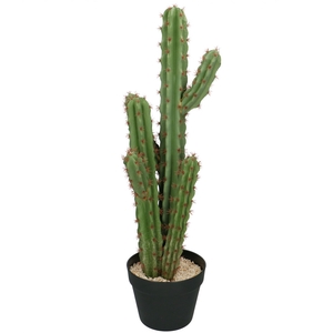 Artificial plants Pot Cactus d18*71cm