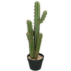 Kunstplanten Pot Cactus d18*71cm