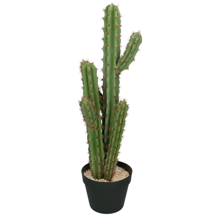 <h4>Artificial plants Pot Cactus d18*71cm</h4>